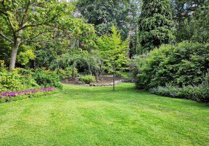 Optimiser l'expérience du jardin à Sablonceaux