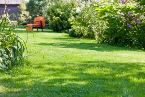 travaux jardin et paysage Sablonceaux